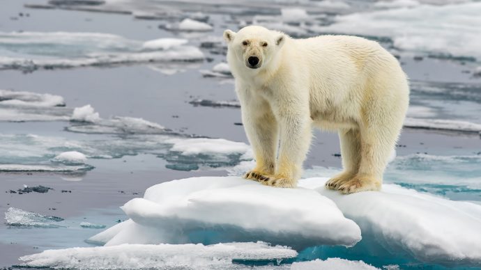 ll Prof Paolo Vineis esplora gli effetti del cambiamento climatico
